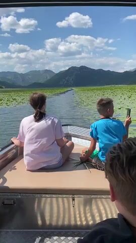 The video shows a scenic boat ride on a tranquil lake surrounded by lush green vegetation and distant mountains under a clear blue sky with scattered white clouds. The sun is bright, suggesting it's daytime, likely late morning or afternoon.

In the foreground, three people are visible from behind, seated on the boat. Two children, a girl with her hair in a ponytail wearing a light pink t-shirt and denim shorts, and a boy in a bright blue t-shirt and green shorts, are seated at the front of the boat. The girl is sitting cross-legged, while the boy is also sitting with his legs extended and holds a smartphone, possibly taking pictures or videos of the scenery. The third person, an adult, is partially visible in the lower right corner of the frame, with their back to the camera.

The boat is moving through a narrow channel of dark water, flanked on both sides by dense patches of water lilies, creating a striking contrast between the water and the vibrant green. The landscape extends to the horizon, with rolling mountains providing a majestic backdrop. The overall atmosphere appears peaceful and serene, with the subjects seemingly enjoying the natural beauty of the location.

Although the exact location isn't explicitly stated in the video, the mention of "Prevlaka, Montenegro" as location context suggests the scenery is characteristic of that region, possibly Skadar Lake, known for its extensive water lily coverage and mountainous surroundings. No visible text is present within the video itself.