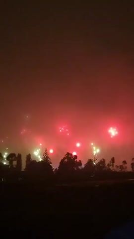 A nighttime outdoor scene with fireworks being set off. The sky is filled with red and white bursts of light, with some smoke obscuring the view. Silhouetted trees and foliage are visible in the foreground.