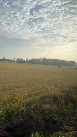 The video shows a wide shot of a field with a cloudy sky. The field is mostly green with some areas of dry grass. There is a line of trees in the distance. The sun appears to be low in the sky, possibly at sunrise or sunset, as the light is soft and golden. There are no people or animals visible in the video. The camera is slightly shaky, suggesting it may have been handheld.