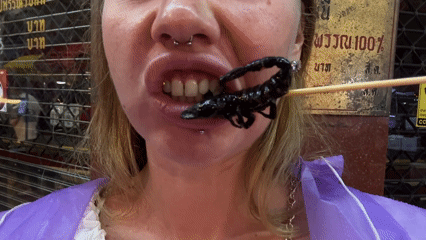 About to bite into a scorpion on a skewer in Bangkok