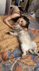 Peaceful domestic moments with sleeping cat captured in Perm