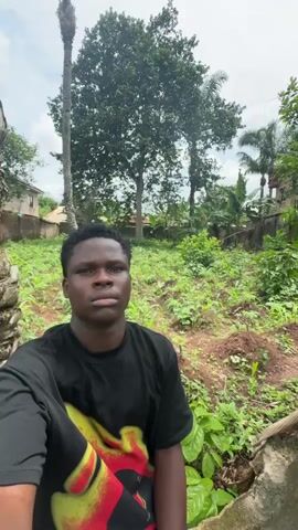 The video begins with a medium shot of a young man with dark skin, a dark t-shirt with a colorful design on the front, and a serious expression. He is standing outside in what appears to be a backyard or garden. The background features dense vegetation, including trees, plants, and what looks like a small corn crop.

The camera then pans to the right, revealing more of the garden area. There's a banana tree with dried leaves, young corn plants, and various other green plants. A brick wall can be seen in the background.

As the camera continues to pan, an older man wearing dark clothing is visible, working in the garden, using a tool that may be a hoe or shovel. The camera tilts upwards to show tall, thin bamboo-like poles supporting climbing plants, interspersed with palm trees. The sky is visible above, with scattered clouds.