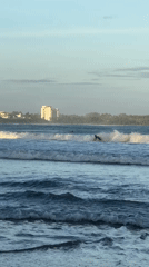 Surfers and beachgoers enjoy waves at Peleana, Sri Lanka