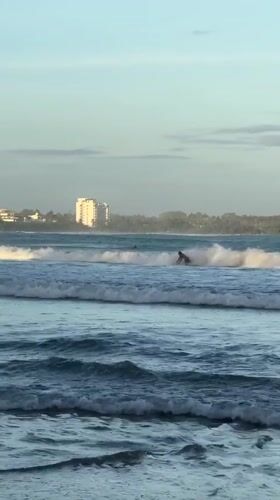 Surfers and beachgoers enjoy waves at Peleana, Sri Lanka