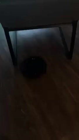 The video shows a black, circular robot vacuum cleaner operating on a dark wood floor. At the start, the vacuum is shown partially under a piece of furniture with black legs, the light illuminating the floor beneath. It bumps into the leg of the furniture and moves away. The camera follows it as it travels across the floor. A person wearing white sneakers and shorts then appears, standing next to the vacuum. The lighting in the room is dim.