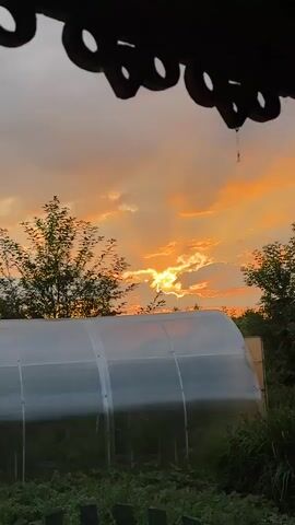 The video displays a view of a sunset through a greenhouse. The sky is filled with clouds, some of which are illuminated by the sun in shades of orange and yellow. The sun itself is partially obscured by clouds, creating rays of light that extend outwards. In the foreground, a greenhouse with a translucent cover is visible, with some vegetation and trees around it. The overall scene depicts a serene, natural environment during the evening.