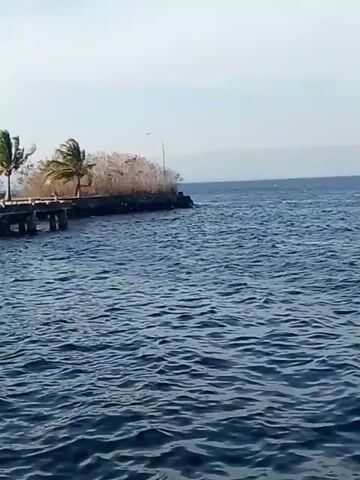 The video shows a view of the ocean from a boat. In the distance, there is a small island with some trees and a dock. The water is choppy, and the sky is clear and bright. The video is taken from a low angle, looking out at the ocean. The island is to the left of the frame, and the ocean takes up most of the frame. The sun is shining, and the weather appears to be warm and pleasant.