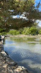 Seoul garden pond draws hanbok-clad visitors in early morning
