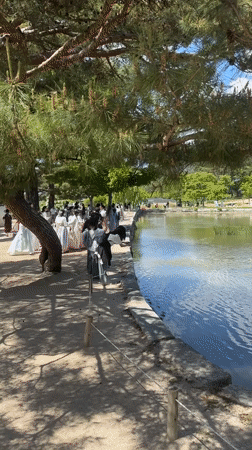 Seoul garden pond draws hanbok-clad visitors in early morning