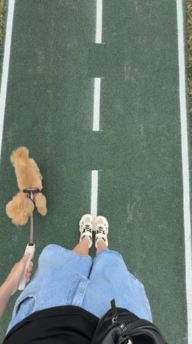 Dog walk and selfies at an Izhevsk recreational track