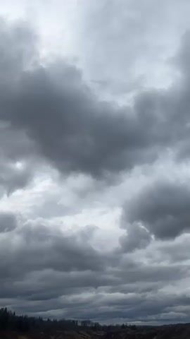 The video shows a cloudy sky. The clouds are various shades of gray. At the bottom of the frame, a line of trees is visible, against a beige background. The light is dim and diffused.
