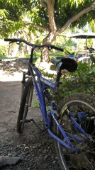 Early morning snapshots capture bike, food, people in tropical setting