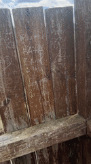 Spring visitor documents forest views from Bulgarian lookout tower