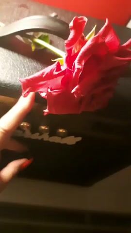 A close-up shot shows a hand with long, red nails reaching towards a single red rose. The rose is lying on a black surface, possibly the lid of an amplifier or speaker. The hand is positioned to the left of the frame, with the index finger extended. The rose is draped over the edge of the black surface. In the background, there are some small, indistinct lights and a red surface. The lighting is dim and warm, creating a soft glow.