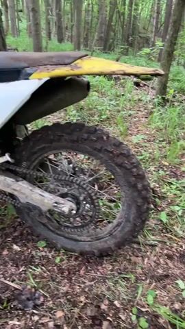 The video shows a Husqvarna FE 350 motorcycle parked in a forest. The motorcycle is white and yellow and is covered in mud. It is positioned on a forest floor covered in green foliage and fallen leaves, with a backdrop of tall trees. The camera pans up the motorcycle, showing the rear wheel, the engine, and the handlebars. A red bag is attached to the handlebars.