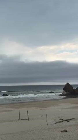 A vertical shot pans slowly to the right across a beach, revealing a cloudy sky, the ocean, and large rock formations. The beach itself is composed of light-colored sand with a few pieces of driftwood and some wooden stakes. Waves crash against the shore, and the sea appears a dark, muted blue. To the right of the frame, several dark, pointed rock formations jut out of the water. Towards the end of the video, the camera pans further right, revealing a dense green coniferous tree in the foreground on the right side of the frame.