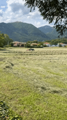 Child watches hay raking from stroller in Italian countryside