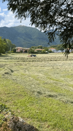 Child watches hay raking from stroller in Italian countryside