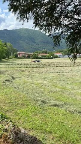 The video shows a field of cut grass with a tractor in the middle, raking the hay into rows. In the background, there are houses and rolling green hills. The sky is partly cloudy. A tree branch frames the upper right of the shot. A child's voice can be heard off-camera.