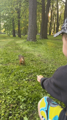 Families enjoy outdoor recreation in Saint Petersburg parks