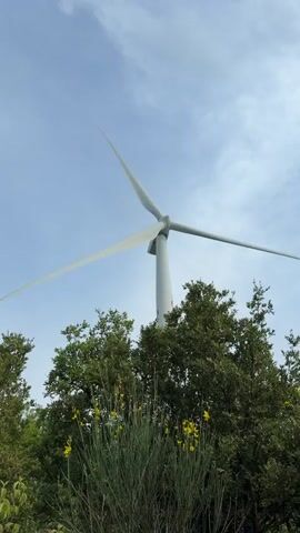 A low-angle shot presents a wind turbine set against a partially cloudy sky. The turbine's blades rotate slowly behind a line of green trees and bushes, some of which have small yellow flowers.