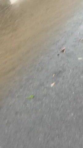 This media file captures a street scene in Drentsi, Bulgaria, during what appears to be a rainy day. The camera pans across a wet asphalt road, reflecting the overcast sky. In the foreground, fallen leaves and debris are visible on the wet surface. A curb with alternating white and gray concrete blocks runs along the left side of the road, separating it from a patch of artificial green turf or hedge.

Further down the street, houses and buildings line the road, with a red tractor and a dark-colored car parked in front of one of them. Another vehicle is seen driving away in the distance. A street lamp and power lines are also visible, indicating a residential or rural area. The overall impression is one of a quiet, possibly damp afternoon in a Bulgarian village. The weather appears to be cloudy and wet, contributing to the subdued atmosphere. There is no visible text in the media file.