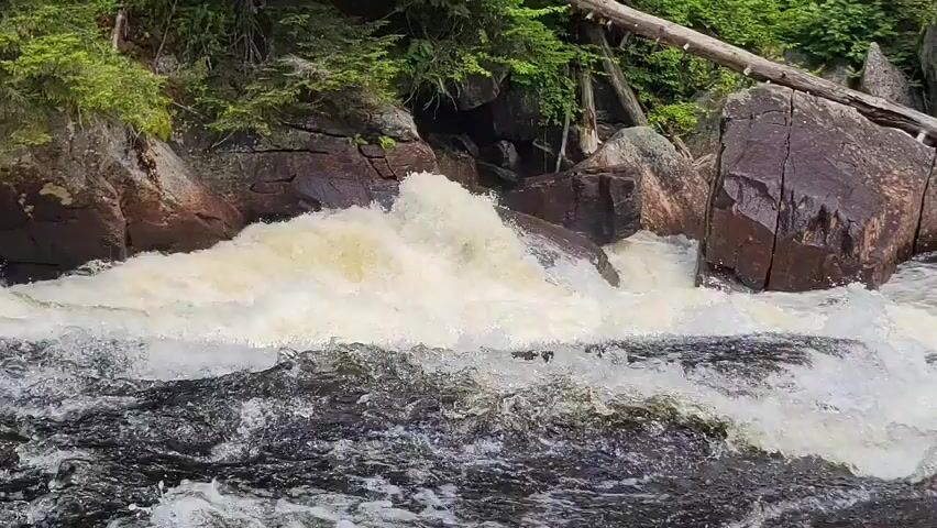 A video clip shows a turbulent river flowing over rocks. The water is a murky brown and white, with whitecaps indicating the strong current. Large boulders are visible on the riverbanks, some covered in moss and vegetation. Trees and brush line the banks, with a fallen log visible in the background. The overall impression is one of a wild and untamed natural environment.
