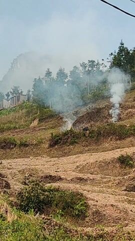 The video depicts a hillside on fire. Smoke is seen rising from multiple points on the slope, interspersed with green trees and a field of tilled soil. A few buildings are visible on the upper left of the hillside, and utility lines traverse the top of the frame. The sky is overcast.
