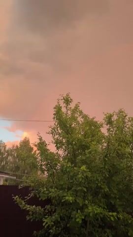 This video shows a rainbow in a pink sky. There are trees with green leaves in the foreground. The video is shot from a low angle and the camera is moving. The overall scene is peaceful and serene.