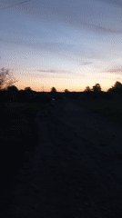 Evening stroll captured in rural Fediivka, Ukraine