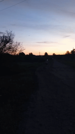 Evening stroll captured in rural Fediivka, Ukraine