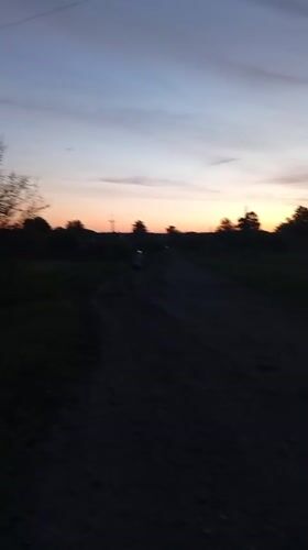 Evening stroll captured in rural Fediivka, Ukraine