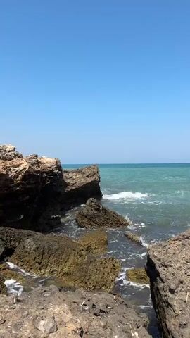 This is a vertical video of a rocky coastline on a clear, sunny day. The camera is positioned at eye level, looking out towards the ocean. The foreground is dominated by rough, textured rocks and boulders, some of which are covered in a light green, moss-like substance. The sea is a vibrant turquoise color, with gentle waves breaking against the rocks, creating white foam. The horizon line is visible in the distance, where the sea meets a clear, bright blue sky. There are no people or animals visible in the frame. The overall impression is one of natural beauty and tranquility.