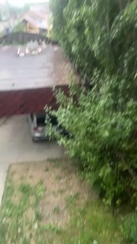 The video captures a scene with a focus on trees. On the left, there's a rooftop with red shingles, and a silver car parked underneath. The trees are tall and lush green, with many branches and leaves. The background shows a few houses with light-colored roofs and some distant greenery. The sky is overcast with gray clouds, suggesting a cloudy or stormy day. The leaves of the trees are in motion, indicating wind.