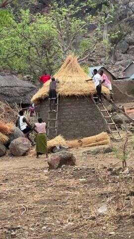 Several people are working to put a thatched roof on a small, square building made of a muddy substance. Three men are on ladders, one man is climbing a ladder, one woman is watching them work, and another man is watching from nearby. There is a second building with a thatched roof to the left of the building being worked on. There are piles of straw on the ground around the building. The ground is covered with dry grass and dirt. The sky is overcast. There are trees and rocks in the background.