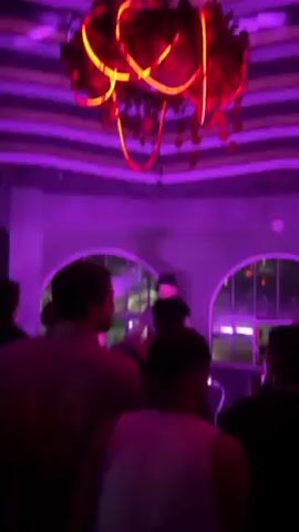 A dimly lit nightclub scene features two DJs playing music in front of a crowd of people, bathed in purple and red light. A decorative lighting fixture shaped like an overgrown plant hangs from a striped ceiling. The walls are painted grey and feature arched windows in the background. People are standing and facing the DJs, with their backs mostly to the camera. The atmosphere is lively, suggesting a dance or party setting.