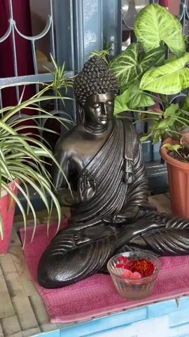 The video shows a bronze-colored Buddha statue sitting in a lotus position on a pink towel. In front of the statue is a clear glass bowl filled with water and red flower petals. The statue is surrounded by potted plants with green and white leaves. A gray wrought-iron gate is behind the Buddha statue. The surface below the statue is blue and white tiled. The video is still and doesn't contain any movement or audio.