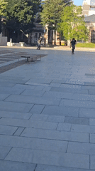 Urban life documented across city spaces during sunny afternoon