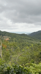 Quiet moments documented on Koh Phangan island Thailand