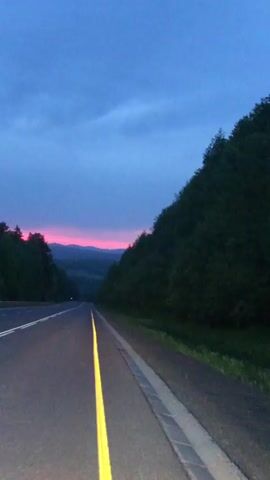 A first-person perspective video captures a road at dusk. The sky is a deep blue with streaks of pink and purple on the horizon, indicating a sunset. The road is paved and has a yellow line down the center. On the right side of the road, a dense forest of dark green trees lines the landscape. The perspective suggests the viewer is either walking or driving on the road, looking forward. There are no people or other vehicles visible in the frame. The overall atmosphere is serene and quiet, transitioning from day to night.