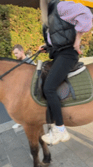 Horses and convertible spotted on Moscow city streets