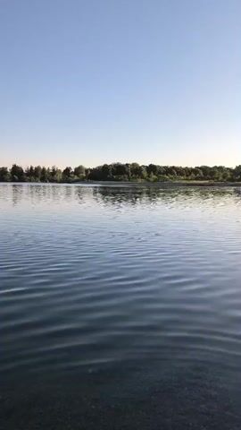 The video shows a body of water with a treeline on the horizon under a clear blue sky. The water is rippling, and the bottom appears to be rocky or pebbly. The camera is positioned low, close to the water's surface, and pans slightly to the right. There are no people or man-made objects visible in the scene. The lighting suggests it is daytime, likely morning or late afternoon due to the soft quality of the light.