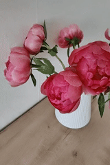 Pink peonies in white vase documented in detailed still life