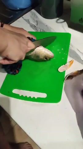 This is a close-up, overhead shot of a person's hands preparing a fish in what appears to be a kitchen. A green plastic cutting board sits on a white countertop. A fish, partially de-scaled and with its head intact, is positioned on the cutting board. A knife is being used to cut the fish. The person's left hand, adorned with a beaded bracelet, is holding a blue and black patterned cloth to steady the fish while their right hand grips the knife. A small piece of the fish, likely a fin, has already been cut off and lies to the right of the main fish. The background shows parts of kitchen appliances and cabinetry, suggesting an indoor domestic setting. The lighting is artificial, indicating it could be any time of day. There is no visible text in the frame. The overall scene depicts a common domestic activity of food preparation.
