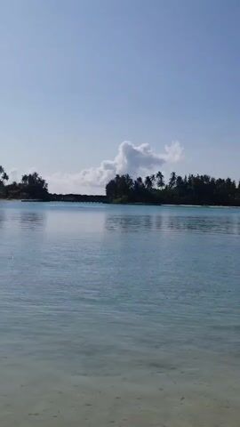 A drone shot pans right over a clear, shallow body of water, revealing a white sandy bottom. Palm trees line the distant shore of an island. Overwater bungalows with dark roofs and wooden stilts stretch across the water's surface. The sky is clear and blue.