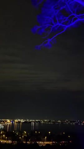 A vertical shot captures a nighttime view of a city skyline across a body of water, under a cloudy sky. A tree branch, illuminated in blue, is prominently positioned at the top of the frame. The camera briefly zooms to show the branch lit in red, before focusing on the cloudy sky.