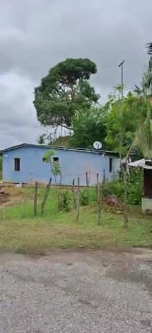 This video captures a static view of a rural landscape under a cloudy sky. The scene features a small, light blue building with two windows and a dark roof, situated amidst overgrown grass and trees. To the left of the building, a large tree with pruned branches stands tall, while a smaller tree with dense foliage is visible in the foreground. Scattered logs and branches lie on the ground. In the background, rolling hills covered in lush green vegetation create a sense of depth. The video appears to be taken from a stationary position, possibly a handheld device, as there is slight movement and jostling throughout. The overall impression is one of a remote, natural setting with a simple dwelling.
