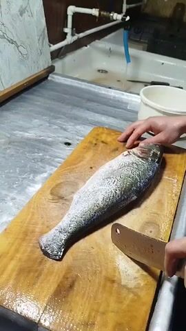 A person is using a knife to scale a fish on a wooden cutting board. The fish has dark skin with a silvery sheen, and it is lying on its side. The person's hands are visible as they hold the knife and manipulate the fish. The knife is a large, flat-bladed cleaver-style knife. The cutting board is rectangular and shows signs of use, with cut marks and discoloration.

In the background, there is a stainless-steel sink with a faucet running, and a white plastic bucket nearby. A section of the wall above the sink is covered with patterned tiles. The countertops are gray and appear to be made of a material like marble or concrete.