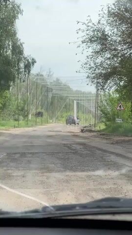 A vehicle drives down a poorly maintained asphalt road. The road is lined with tall poles and mesh netting on both sides. A small dog runs ahead of the vehicle in the center of the road. A road sign warning of wild animals crossing is visible on the right side of the road. Trees and other vegetation grow along both sides of the road. The sky is overcast. The interior of the vehicle is visible, including the dashboard and a crack in the windshield.
