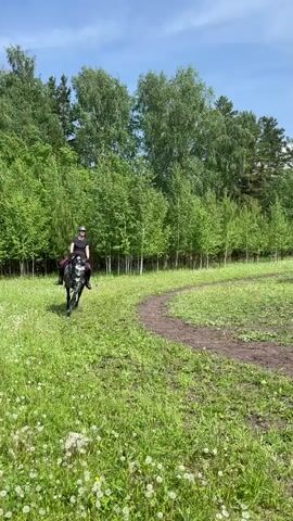 A woman wearing a black t-shirt, red pants, black riding boots, and a helmet is riding a gray and black horse in a grassy field. The horse is moving to the left of the frame. The woman is looking forward. There is a dirt path to the right of the horse. In the background, there are trees and a blue sky with clouds.